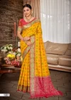 Rajashahi Patola Vol 1 By Bunawat Silk Patola Saree Wholesale Market In Surat
